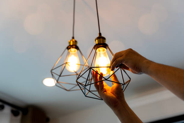 Best Affordable Electrician  in Encantada Ranchito El Calaboz, TX